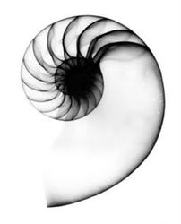 Radiologie Dr. Falkner